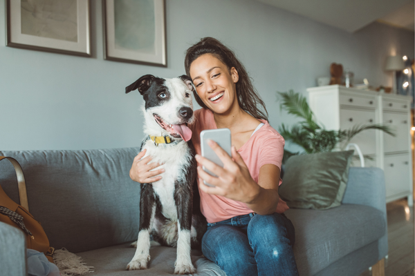 Dicas para Manter a Higiene Bucal do Seu Animal de Estimação